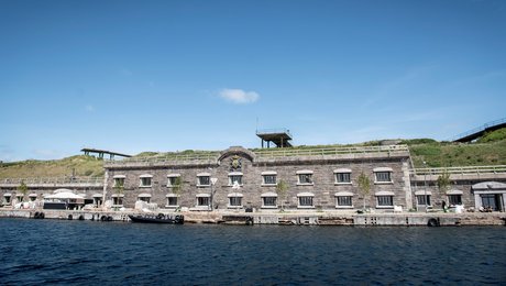 Unge giver et år til frivilligheden