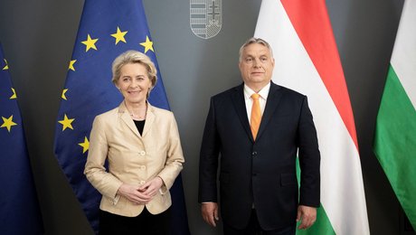 Historiker: EU’s værdimæssige splittelse er vores største svaghed over for Rusland 