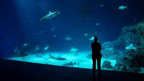 Ny temadebat: Hvordan tackler kulturlivet energikrisen?