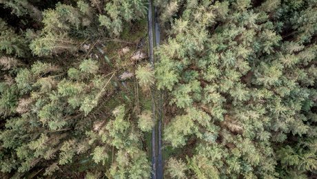 Her er årets fem mest læste debatindlæg på Altinget Miljø