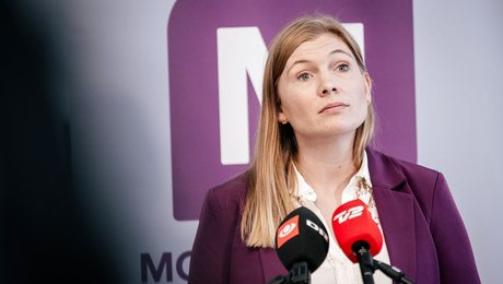 Moderaternes socialordfører bliver ny formand for Folketingets socialudvalg