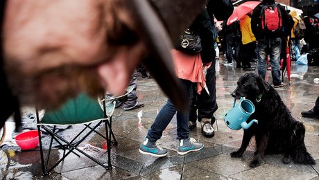 Rådet for Socialt Udsatte: Regeringens løfter på socialområdet kan kun opfyldes med strukturelle reformer