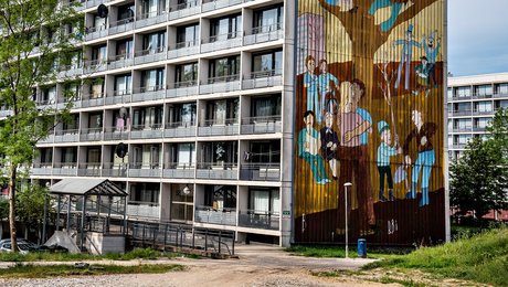 Parallelsamfundsloven kan tvinge 4.000 husstande ud af deres bolig, men de fleste kan blive i områderne