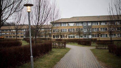 Minister frygtede, at ukrainere kunne sætte fremgang over styr i udsatte områder: Nu er 100 flyttet ind
