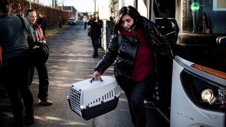 Et år efter invasionen: Landkommuner har åbnet dørene for relativt flest flygtninge fra Ukraine 