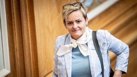 Rosenkrantz-Theil er imponeret over omfanget af småjob-ordning i København. Men der er fortsat plads til forbedringer