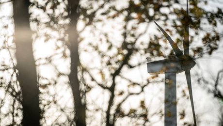 Grønt overblik: Det skal du holde øje med i denne uge