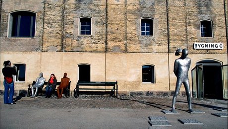 Arktisk Institut får ny direktør fra Nationalmuseet