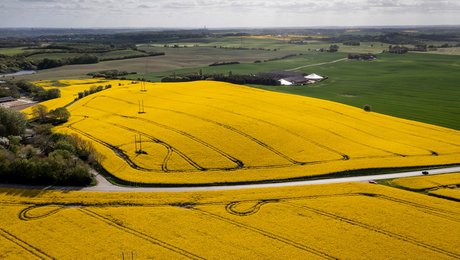 Dødt løb inden afstemning om EU's omstridte naturlov