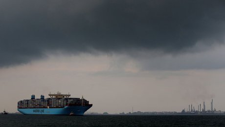 Grønt overblik: Det skal du holde øje med i denne uge