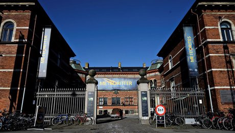 Museumsdirektører: Placer Statens Naturhistoriske Museum under Kulturministeriet