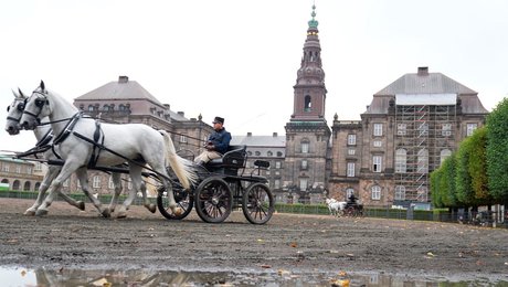 Få et overblik over Europaudvalgets ændrede arbejdsgange 
