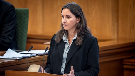 Moderaterne raser mod omfattende dokumentationskrav til DH-formand