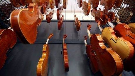 SMVdanmark: Violinbyggeri er et truet håndværk i Danmark – giv SU til danske lærlinge