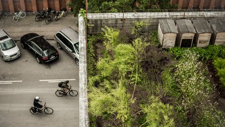 Cowi og Arkitema: Bring naturen ind i byen, for byens skyld 