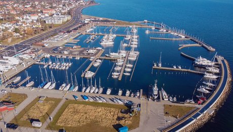 Civilsamfundets elite er klumpet sammen i indre by og Nordsjælland og har flere kvinder end den øvrige elite