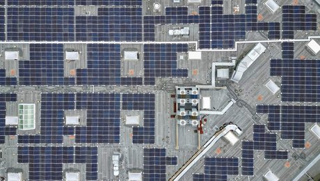 Arkitema: Grøn omstilling er også en arkitektonisk disciplin