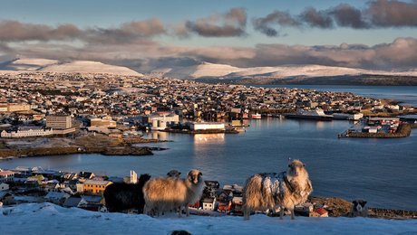 Nationalbanken til færingerne: Bliv bedre til at spare op