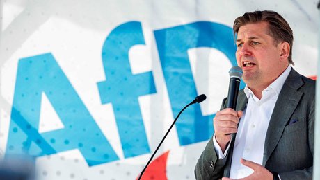 Den ydre højrefløjsgruppe i EU-Parlamentet ekskluderer kontroversielt tysk parti