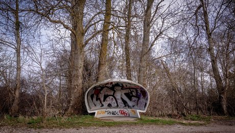 Eksperter spår fortsatte passagerfald i busser på landet 