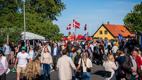 Klimaflugt, arealkabale og overflødige klimamål: Her er Altingets grønne guide til Folkemødet