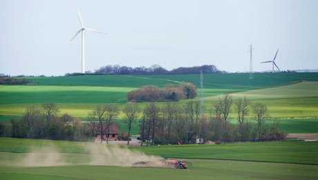 Overblik: Se kommunernes nye opgaver med grøn omlægning af landbruget