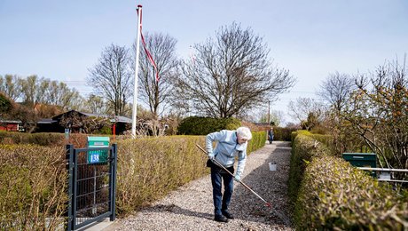 Kolonihaveforbundet genvælger ledelse og moderniserer vedtægter