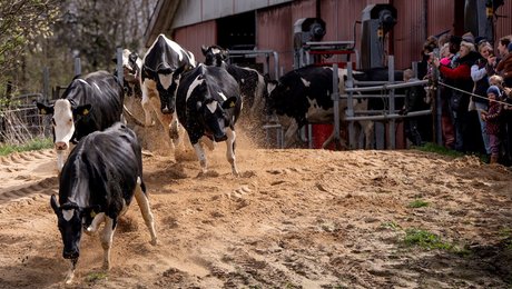 Landboforening fyrer politisk chef