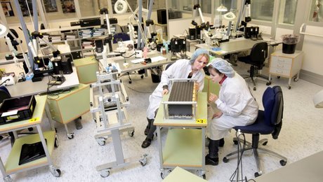 Rekordhøj interesse for EU’s forsvarsmilliarder