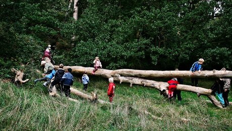 Forskere: Børn og unge risikerer at blive glemt i fremtidens natur