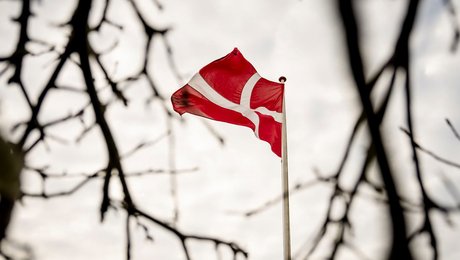 Tidligere folketingsmedlem og generalkonsul skal være landsformand for Dannebrogs-Samfundet