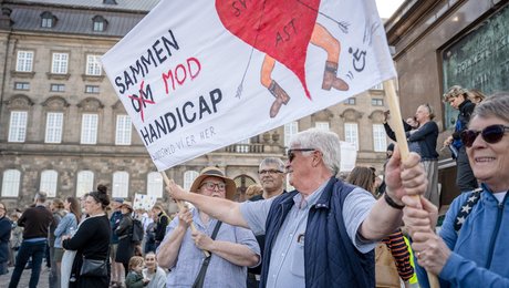 EU var til handicapeksamen. Og særligt ét kritikpunkt er værd at bemærke, mener aktører