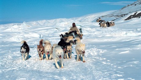 Forfatter: Grønland kan selv bidrage til oprustningen i Arktis. Her er et konkret forslag