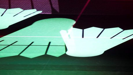 Badminton Danmark udpeger midlertidig direktør