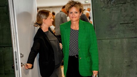 Professor: Derfor kan Rosenkrantz-Theils idé om gratis dagtilbud  koste nye velfærdsbesparelser