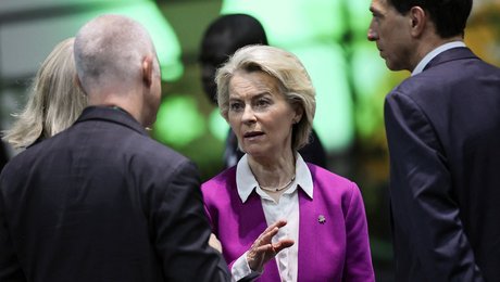 Politisk netværk: Danmark må sikre, at EU leverer ved COP30