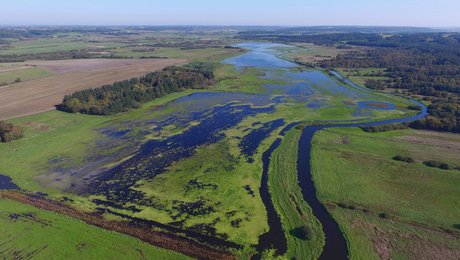 Professor i vandmiljø vinder pris for engagement i landbrugets kvælstofudledninger