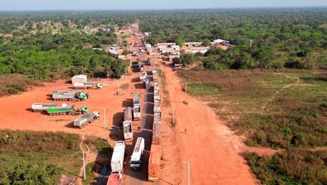 Danske speditører: Politikerne bør indse, at forsyningskæder ikke stopper ved landegrænsen