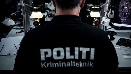 It-ekspert: Tvangsdigitaliseringen har efterladt borgerne sårbare overfor for svindel