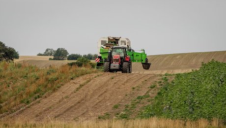 Landboforening fyrer topchef efter mindre end et år