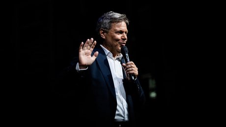 Tidligere tysk vicekansler kritiserer Norge for at ville skrotte elkabler til Danmark: ”Det er idiotisk”