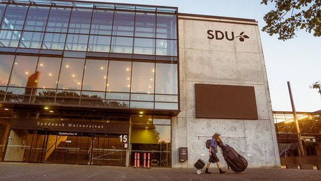 Ny professor med fokus på vold og relationelle traumer