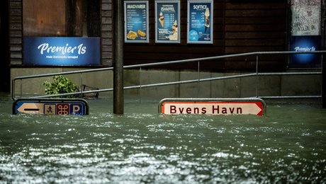 Vismænd advarer: Statslige milliardpuljer forsinker klimasikringen af Danmark