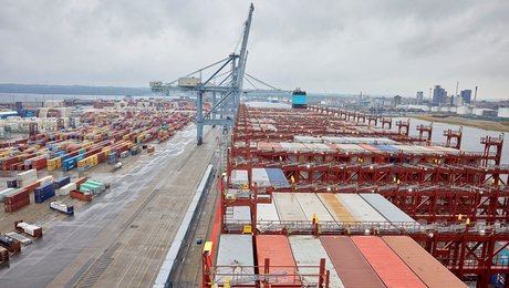 Aarhus Havn skal have ny direktør – tidligere vicedirektør i styrelse tager over