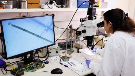 IDA: Det offentlige mangler ingeniører og it-specialister. Det bliver et tema til OK26