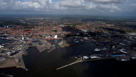 Danske Havnes internationale chef skifter til DI