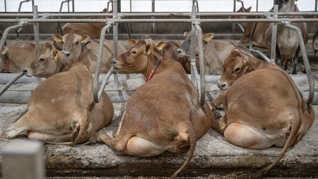 Teknologiforskrækkelse må ikke stå i vejen for grøn omstilling i landbruget