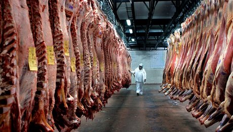 Flere argentinske bøffer i din køledisk: EU-lande blåstempler handelsaftale med Sydamerika