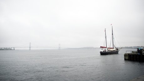 Grønne organisationer: Det underminerer hele idéen om marine naturnationalparker at tillade havbrug