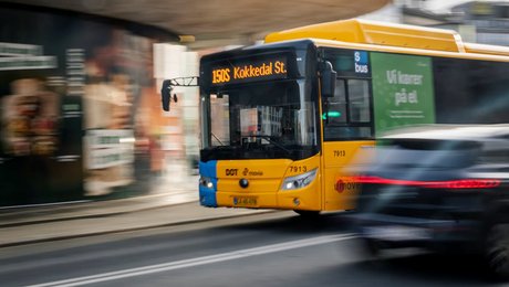 Dragørs borgmester bliver ny bestyrelsesformand i Movia